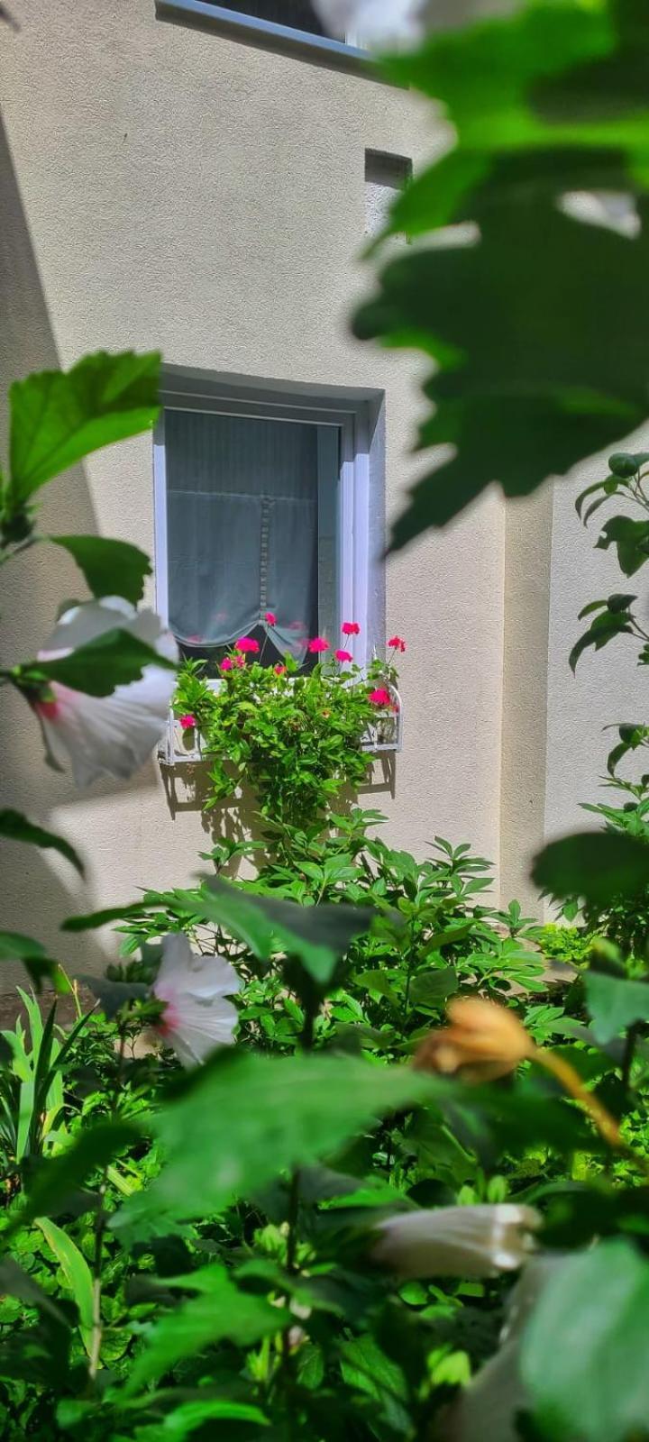 Anna'S Guesthouse Cluj-Napoca Exterior photo